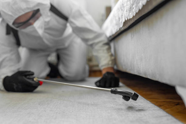 Professional Bed Bug Control technician working in Beckett Ridge, OH