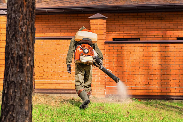 Trusted Bed Bug Control service in Beckett Ridge, OH - Nex Pest Control